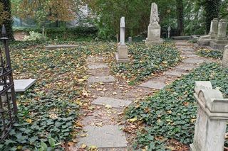 Cmentarz Zasłużonych Wielkopolan skrywa niezwykłe historie. To tu spoczywają wielcy poznaniacy