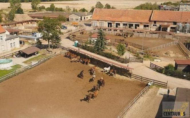 Fundacja Centaurus błaga o pomoc