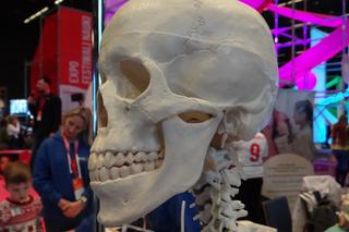 Śląski Festiwal Nauki w Katowicach 2022