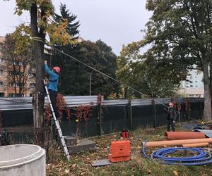 Centrum Aktywności Międzypokoleniowej