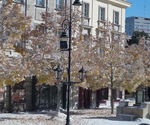 Gwiazdy marzną na planie Lalki