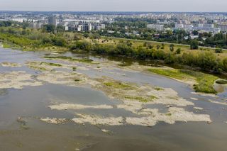 Wisła wysycha. Tak źle nie było nigdy w historii. Zdjęcia z lotu ptaka obrazują skalę suszy