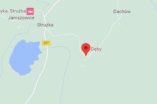 Te miejscowości w Lubuskiem mają najkrótsze nazwy. Znasz je wszystkie?