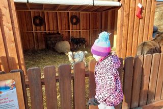 To już ostatni moment, by odwiedzić Wioskę świętego Mikołaja pod Bydgoszczą. Byliśmy tam i mamy zdjęcia