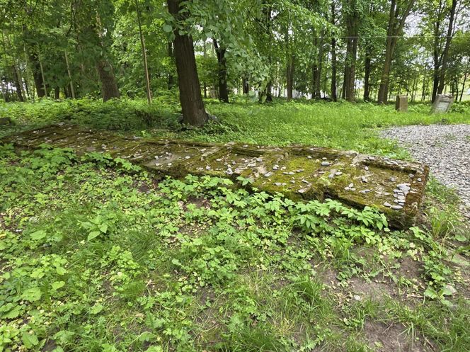 Cmentarz żydowski w Leżajsku