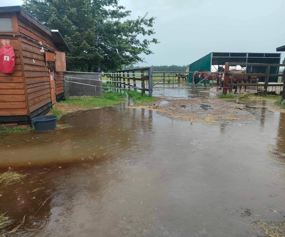 Przystań Ocalenie w Ćwiklicach zalana po ulewnych deszczach. Potrzebna pomoc