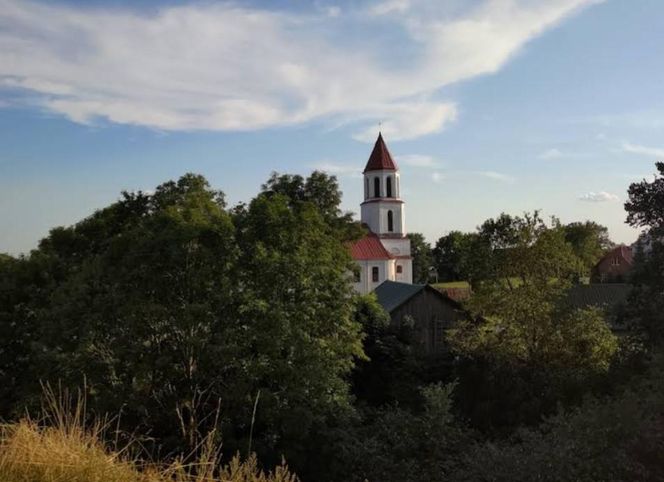 Grodzisko w Surażu, zwane również Górą Królowej Bony