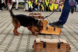 Wiernie służyli przez 10 lat. Kałam, Lejmur i Karzeł odeszli na zasłużoną emeryturę