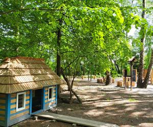 Kraków - Park Tetmajera