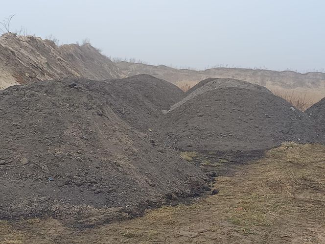 Służby na żwirowni przy S5 koło Leszna. Sprawdzają podrzucone odpady