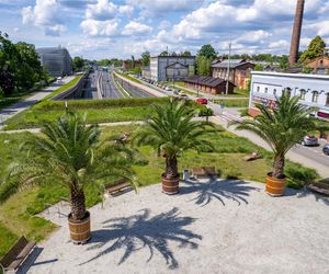 Las Palmas przyjechało na Śląsk. Gliwice niczym egzotyczny kurort dla turystów
