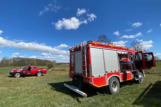 Samochód przebił bariery mostu i wpadł do wody