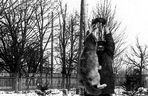 Zoo w Zamościu na starych zdjęciach