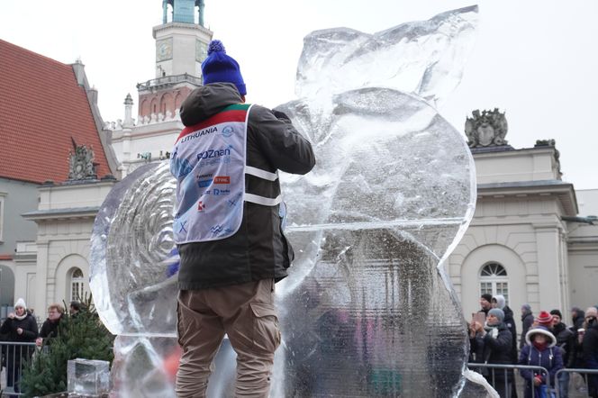 Poznań Ice Festival 2024 