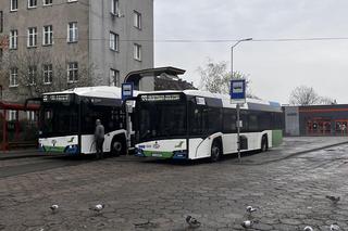 Komunikacja miejska w Szczecinie. Pętla Kołłątaja nie zachwyca
