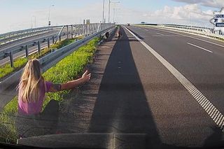 Policjantka z Częstochowy uratowała psy na S5