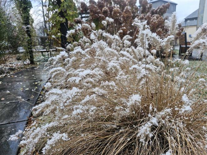 Pierwszy śnieg na Podkarpaciu