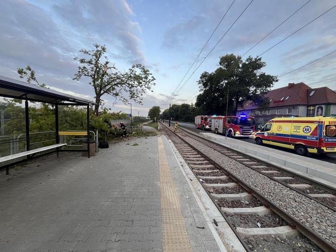 Wypadek na DTŚ. Samochód dostawczy wypadł z drogi. Jedna osoba poszkodowana