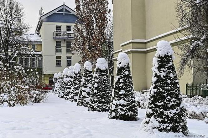 Zima 2021 w Sopocie. Kurort pod grubą warstwą śniegu 11.02.2021 r.