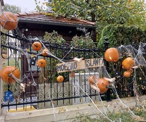 Willa na Jaśkowej Dolinie znów ozdobiona. Tym razem przechodniów zaskakują halloweenowe straszydła!