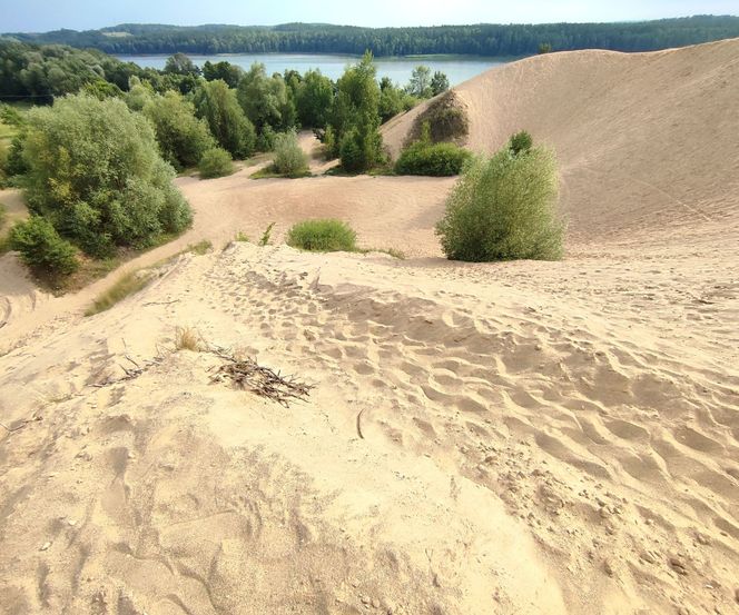 Stare Juchy jak Abu Zabi? Piaskowa góra na Mazurach przypomina egzotyczną pustynię [ZDJĘCIA]