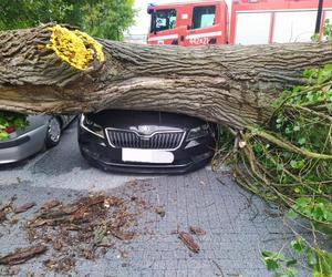 Silny wiatr w Grudziądzu. Są zniszczenia aut