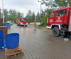 Wielki pożar hali w Gliwicach! Chmura dymu nad miastem
