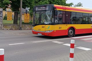 Autobus MZK potrącił pieszego na pasach. Policjanci ukarali kierowcę! 