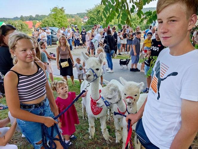 Mikstacka Arka Noego. Błogosławieństwo zwierząt podczas odpustu św. Rocha w Mikstacie
