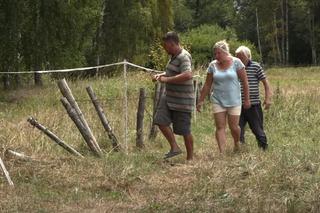 Rolnicy. Podlasie. Andrzej szuka koni, które uciekły z pastwiska