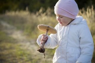 Nie tylko leśne grzyby mogą sprawiać kłopoty. Kiedy podać je dziecku?