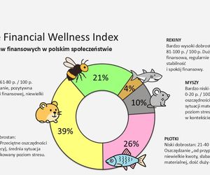 Badanie: co trzeci Polak w słabej kondycji finansowej, oszczędza tylko 34% społeczeństwa