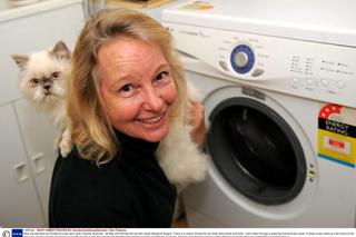 Kot wyprany w pralce