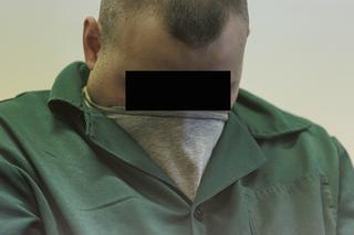 Dożywocie dla bestii z Mrowin