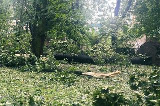 Armagedon w Kielcach i Świętokrzyskiem! Nawałnica wyrządziła dużo szkód