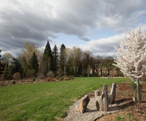 Arboretum Wojsławice prezentuje pełną paletę barw