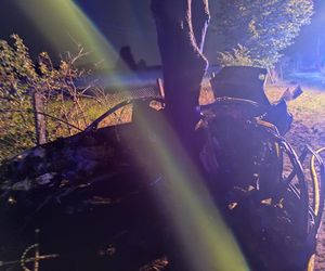 BMW uderzyło w drzewo i zapaliło się, Zginęła jedna osoba!
