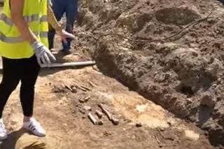 Odkrycie archeologiczne w Mysłowicach