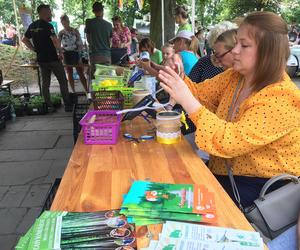 Piknik na Górze Zamkowej w ramach Jarmarku Spichrzowego