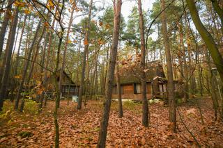 Dzierżawiony przez Ambasadę Rosji od Lasów Państwowych ośrodek nad Zegrzem