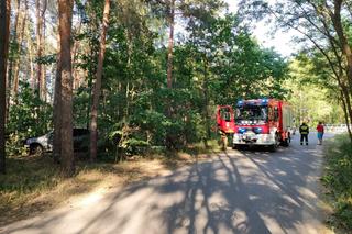 Wypadek pod Toruniem. Zakrwawiony kierowca wjechał autem w las