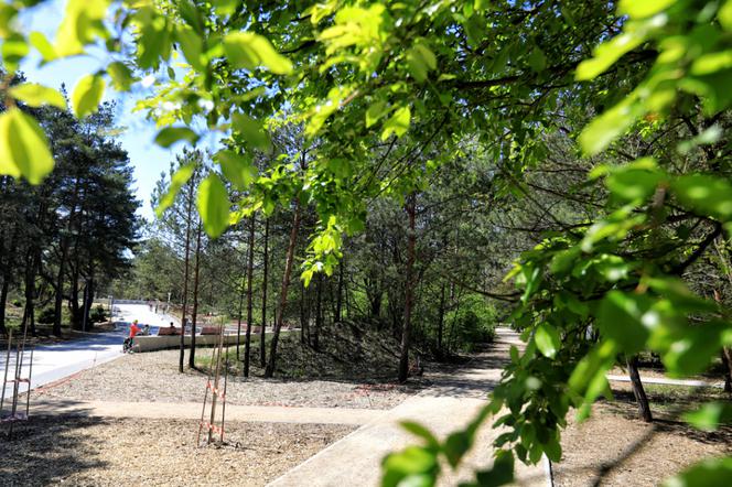 Jar w Toruniu jest coraz piękniejszy. Zrealizowano projekt za 8,7 miliona złotych
