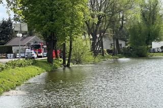 Ludzkie zwłoki w stawie pod Płońskiem. Strażacy wyłowili je z wody, na miejscu jest prokurator