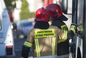 Znów pożar na poligonie w Toruniu. Z ogniem walczyło kilkanaście zastępów straży