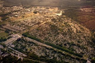 To największy cmentarz w Warszawie. Powązki są od niego mniejsze aż o 100 hektarów