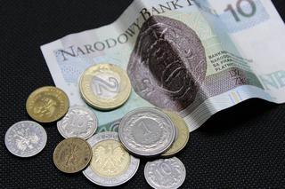 Tarcza antyinflacyjna 2.0 przyjęta przez Sejm. Co będzie tańsze? [LISTA PRODUKTÓW]