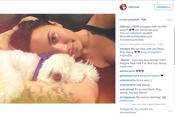 Demi Lovato z psem Buddym Instagram