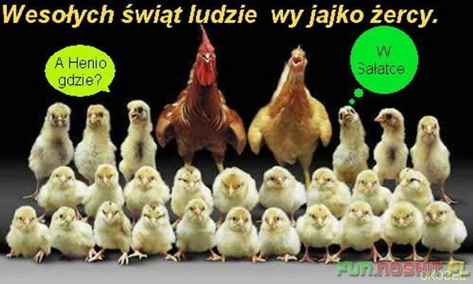 memy wielkanoc