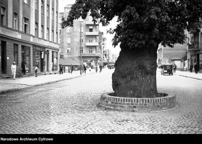 Tak kiedyś wyglądała Gdyni. Mamy zdjęcia sprzed 80 lat. Poznajecie te miejsca? 