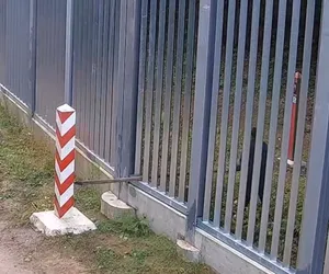 Incydent na granicy polsko-białoruskiej. Jest nagranie